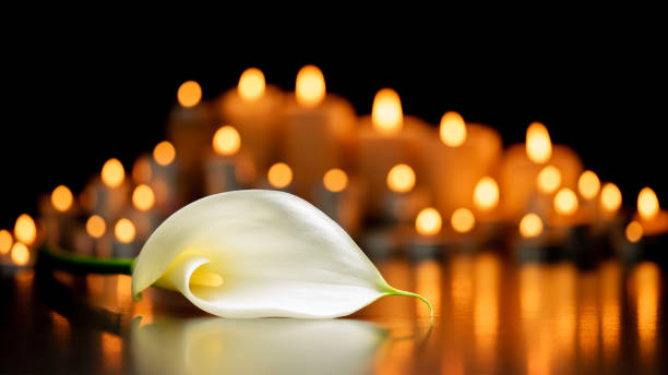 Paul Emmett Haverhill, MA Death-Obituary